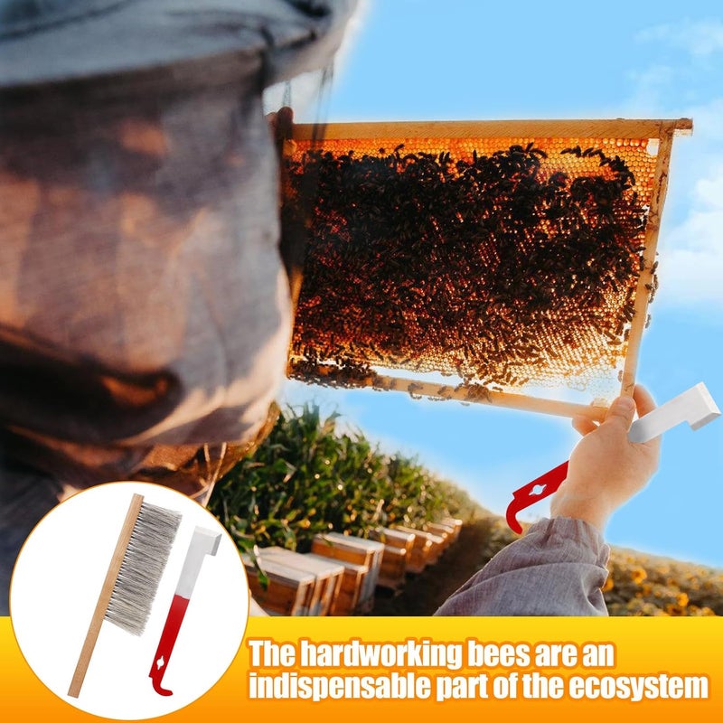 Acostop Bee Hive Tool for Beekeeping - Stainless Steel J Hook & Natural Horsehair Bee Brush, Beehive Brush Bee Frame Lifter and Scraper Bee Keeping Starter Kit for Beekeepers - Image 5